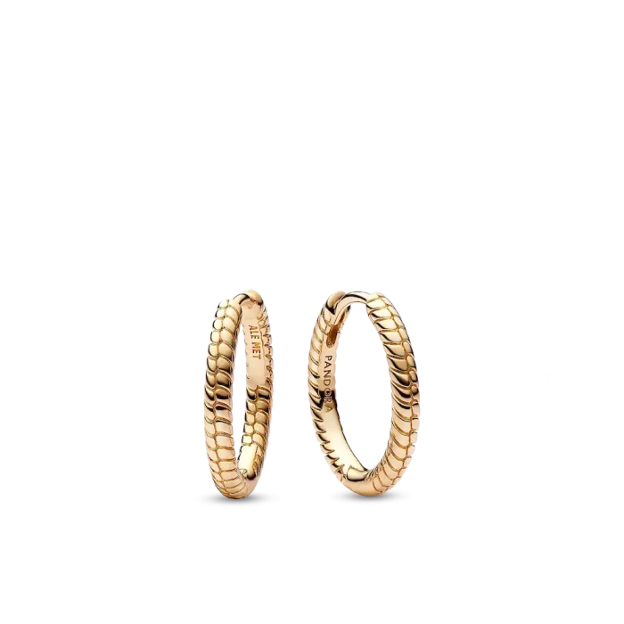 Lion Medallion Charm Earrings - Image 7