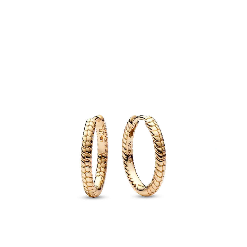 Pandora Moments Small Charm Hoop Earrings