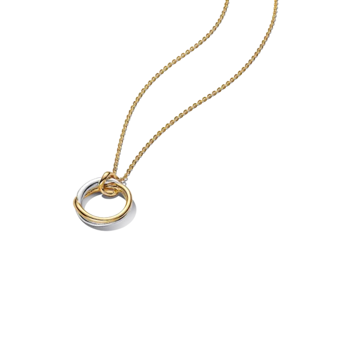 Entwined together necklace set - Image 2