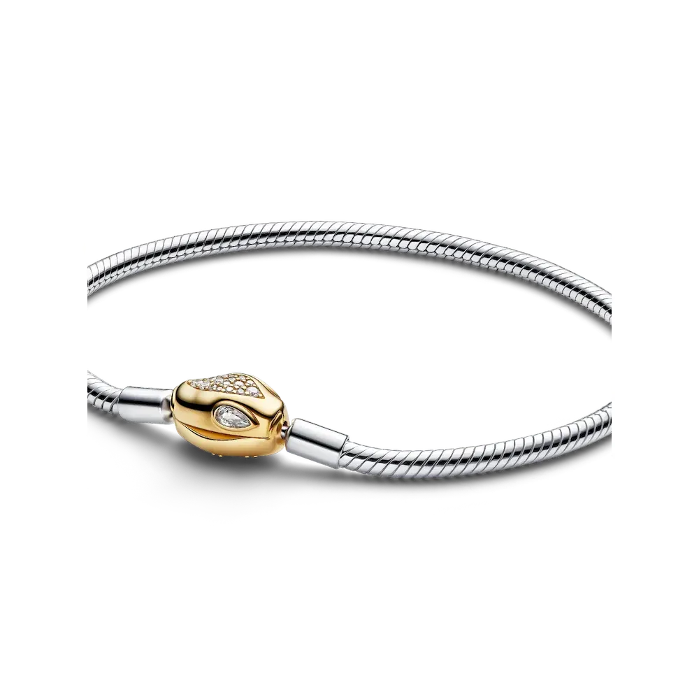 Snake Clasp & Chain Bracelet