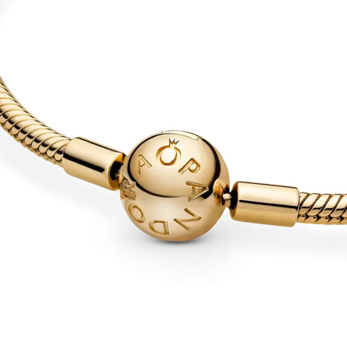 Aquarius Zodiac Dangle Charm Bracelet Set - Image 9