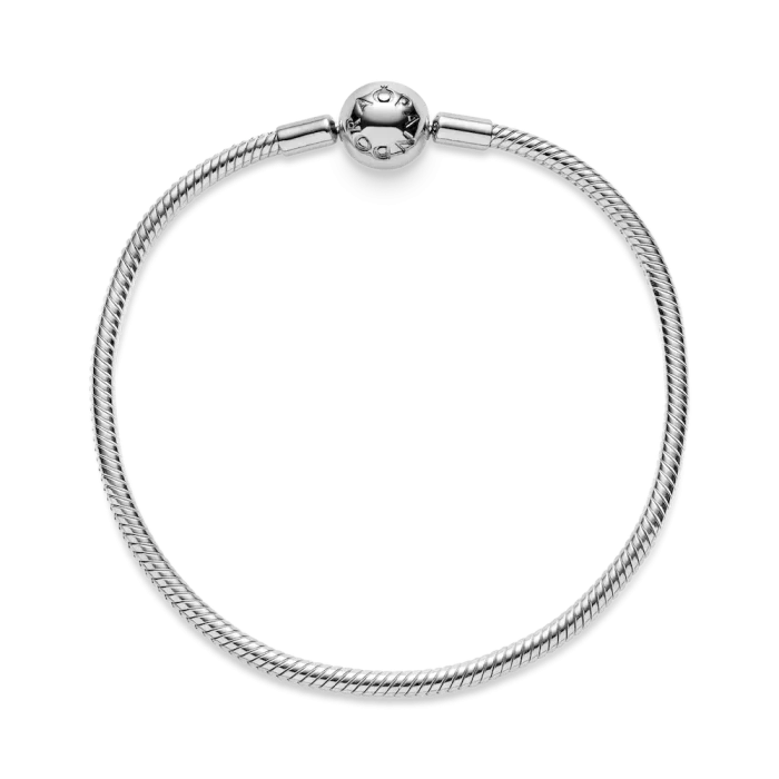 Moments Snake Chain Bracelet - Image 19