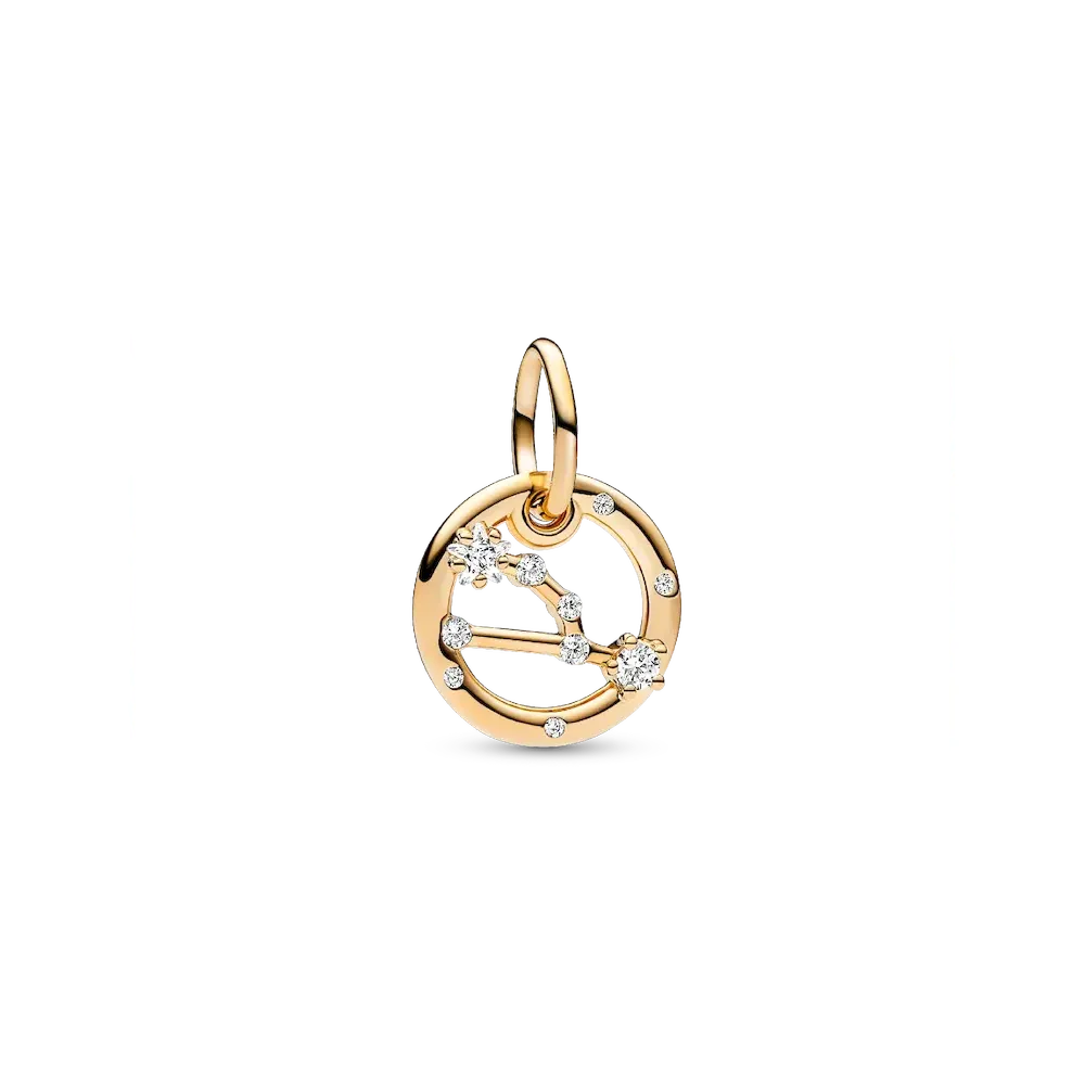 Taurus Zodiac Dangle Charm Studded Bracelet Set