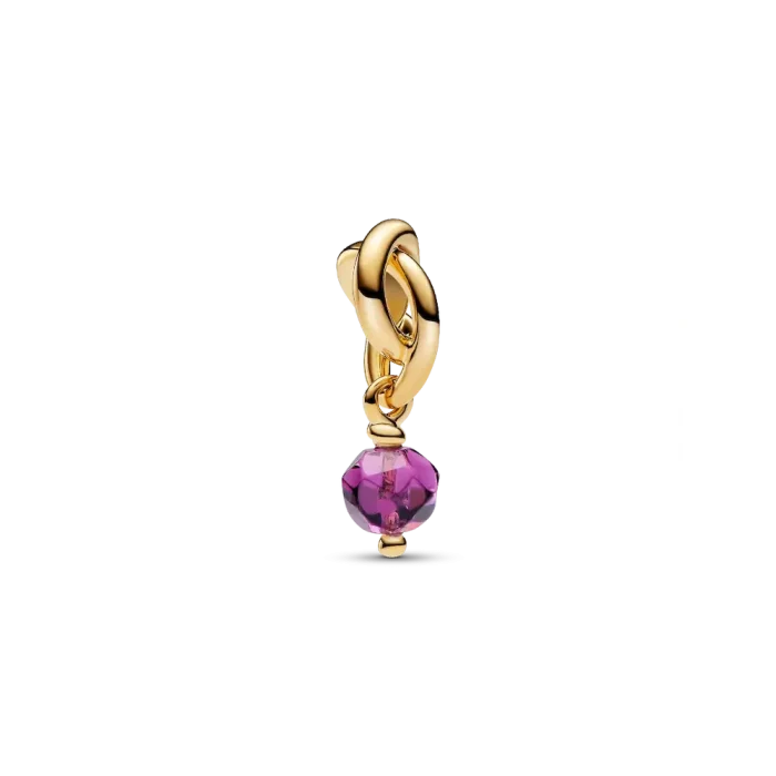 February Eternity Circle Dangle Charm Necklace Set - Image 2