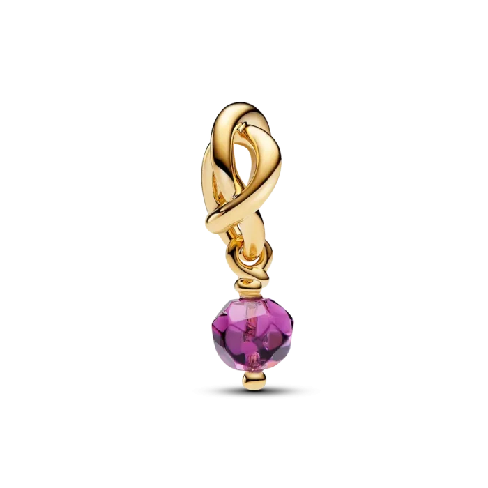 February Eternity Circle Dangle Charm Necklace Set - Image 4