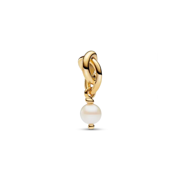 June Engravable  Dangle Charm Necklace Set - Image 2