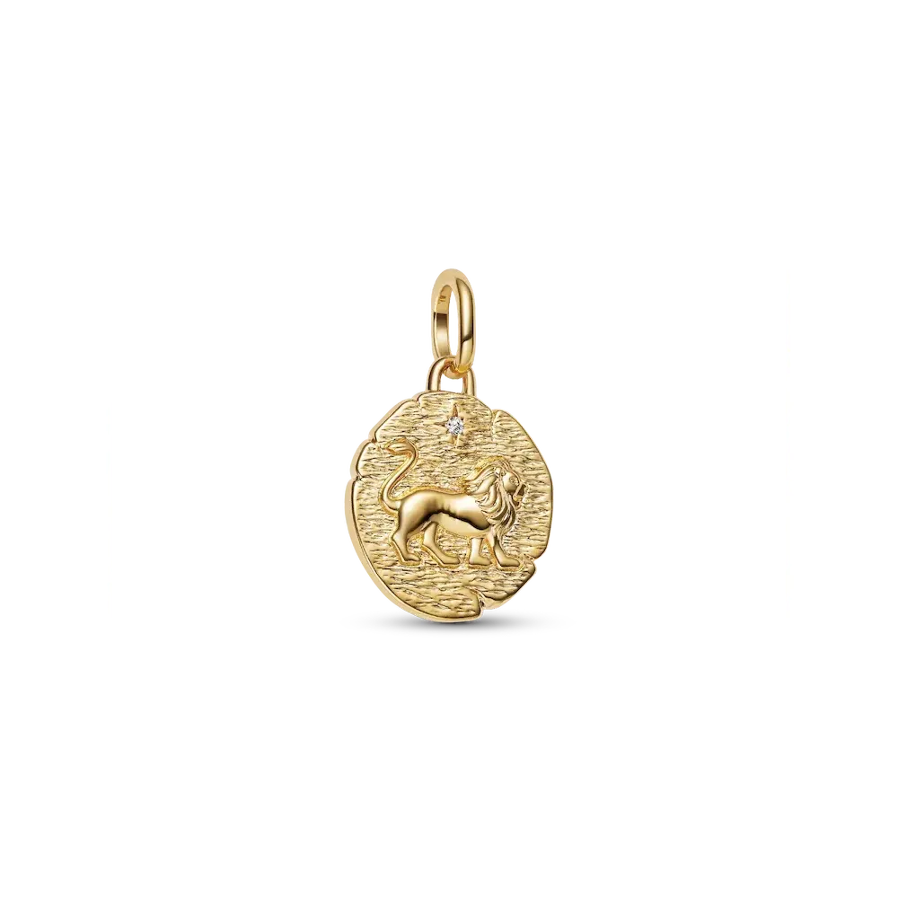 763974C01_RGB.webp Lion Medallion Charm - Image 1