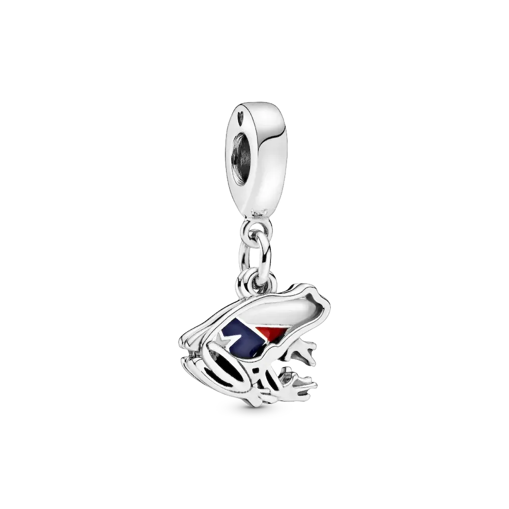 Puerto Rico Frog Dangle Charm