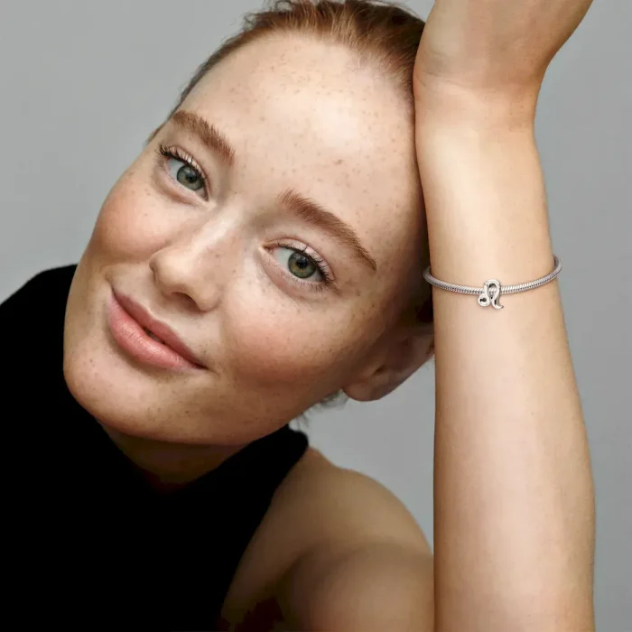 Leo Zodiac Charm Bracelet Set - Image 12