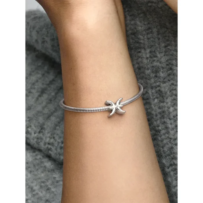 Pisces Zodiac Charm Bracelet Set - Image 11