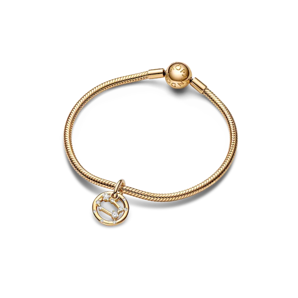 Gemini Zodiac Dangle Charm Bracelet Set