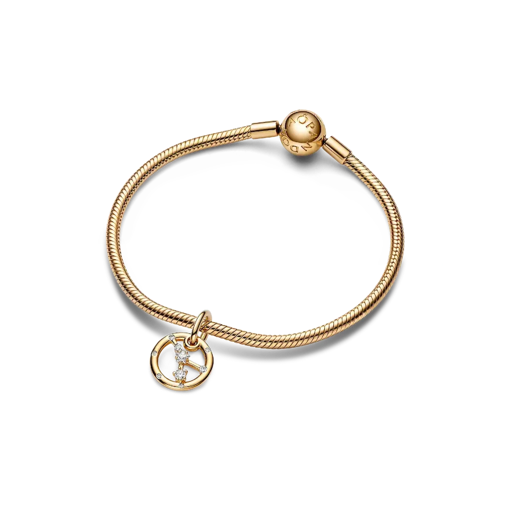 Cancer Zodiac Dangle Charm Bracelet Set