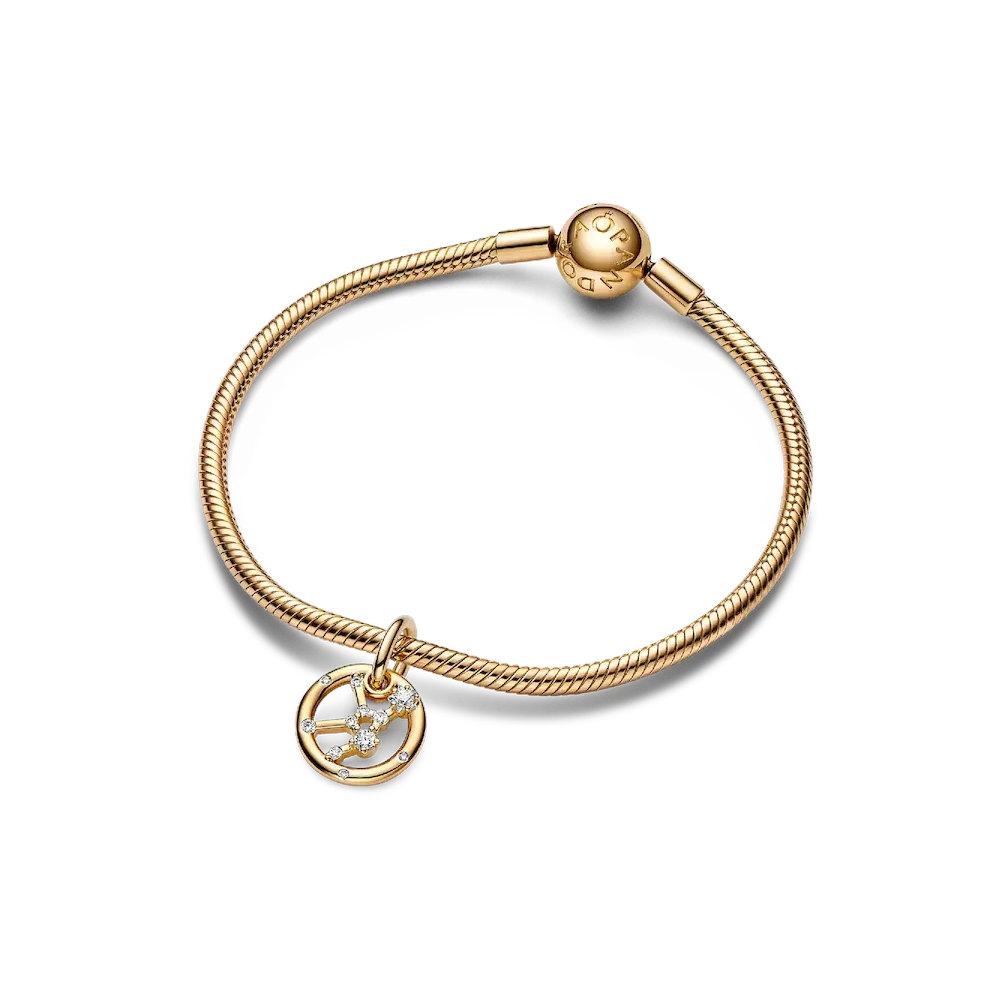 Virgo Zodiac Dangle Charm Bracelet Set