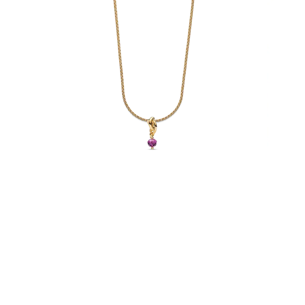 February Eternity Circle Dangle Charm Necklace Set