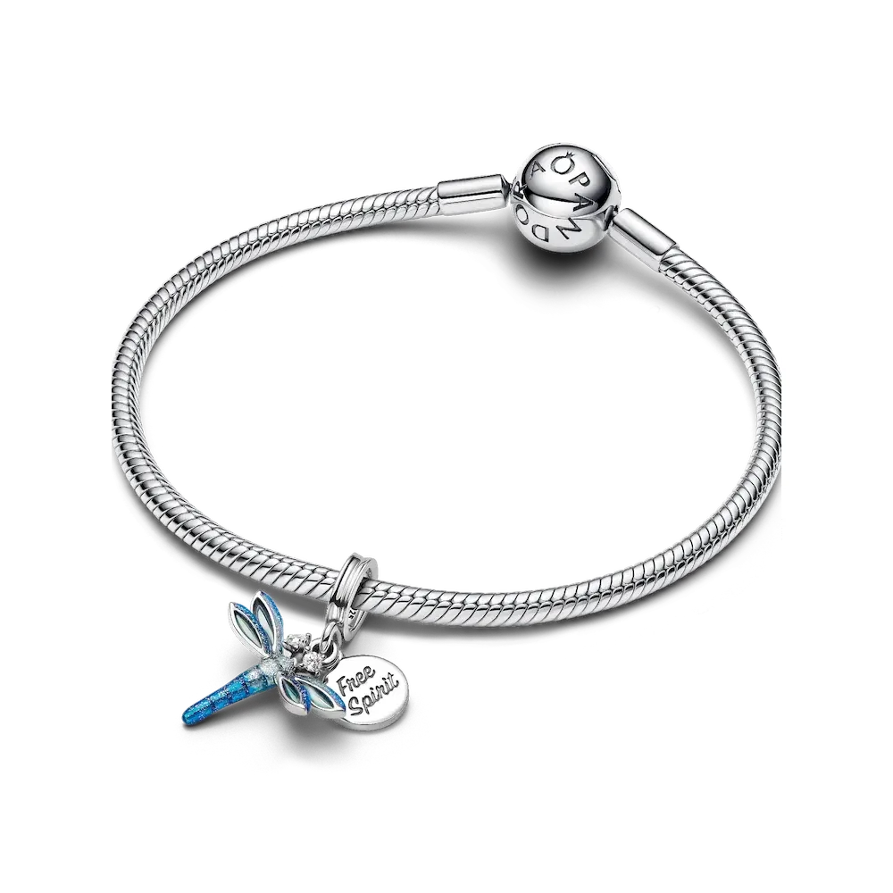 Dragonfly Dangle Charm Bracelet Set