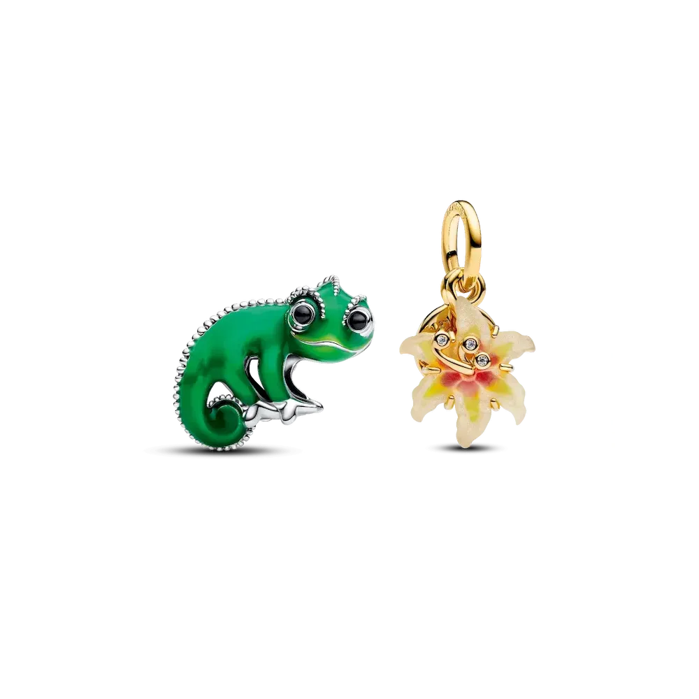 Disney Tangled Charm Duo